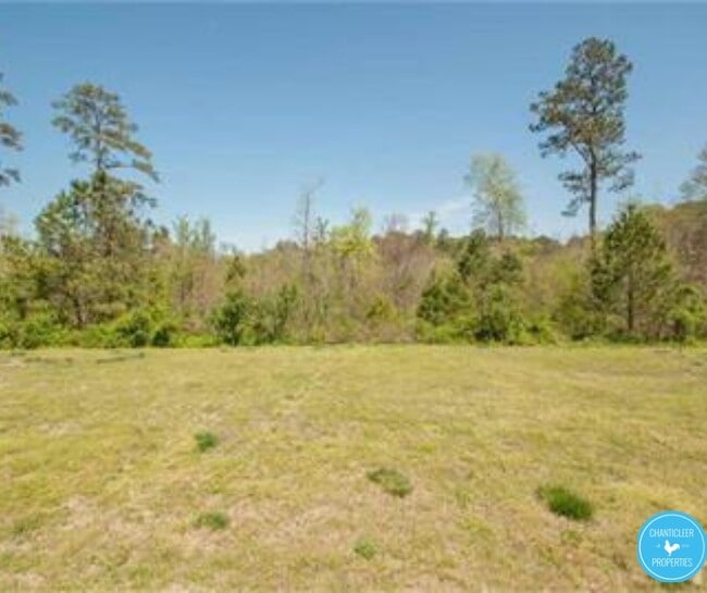 Building Photo - 2536 Blackwolf Run Ln