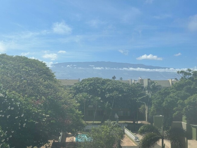 Building Photo - Maui Condo