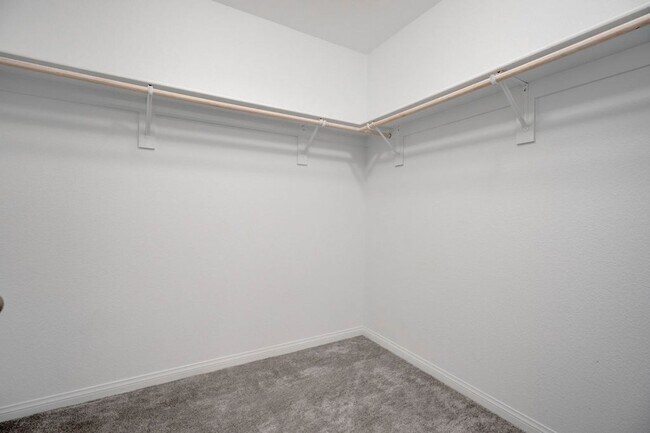 Building Photo - 111 Balsam Leaf Ct