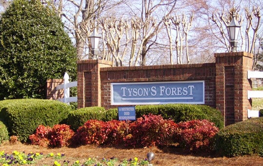 Building Photo - 516 Tysons Forest Dr