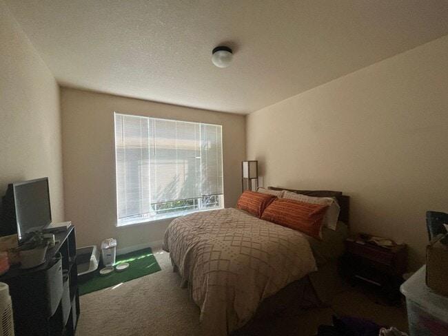 Building Photo - Fantastic Condo in Central Fort Collins