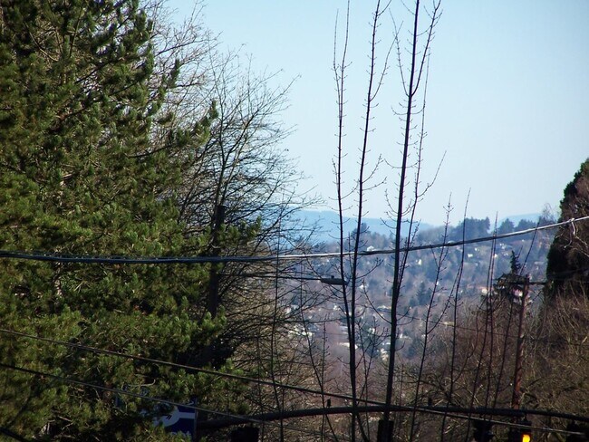 City view from private balcony - 2836 SW Sam Jackson Park Rd