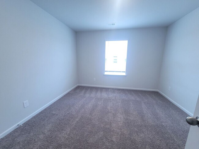 Building Photo - Welcome to our brand new 4-bedroom, 2-bathroom home located in the charming community of Castle H...