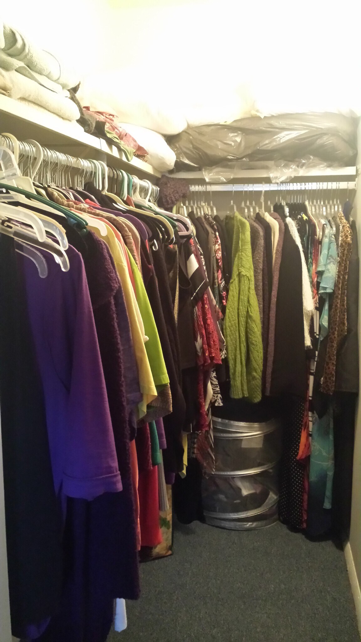 walk-in closet - 806 Stratford Dr
