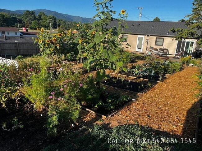 Building Photo - 3615 Ellen Dr