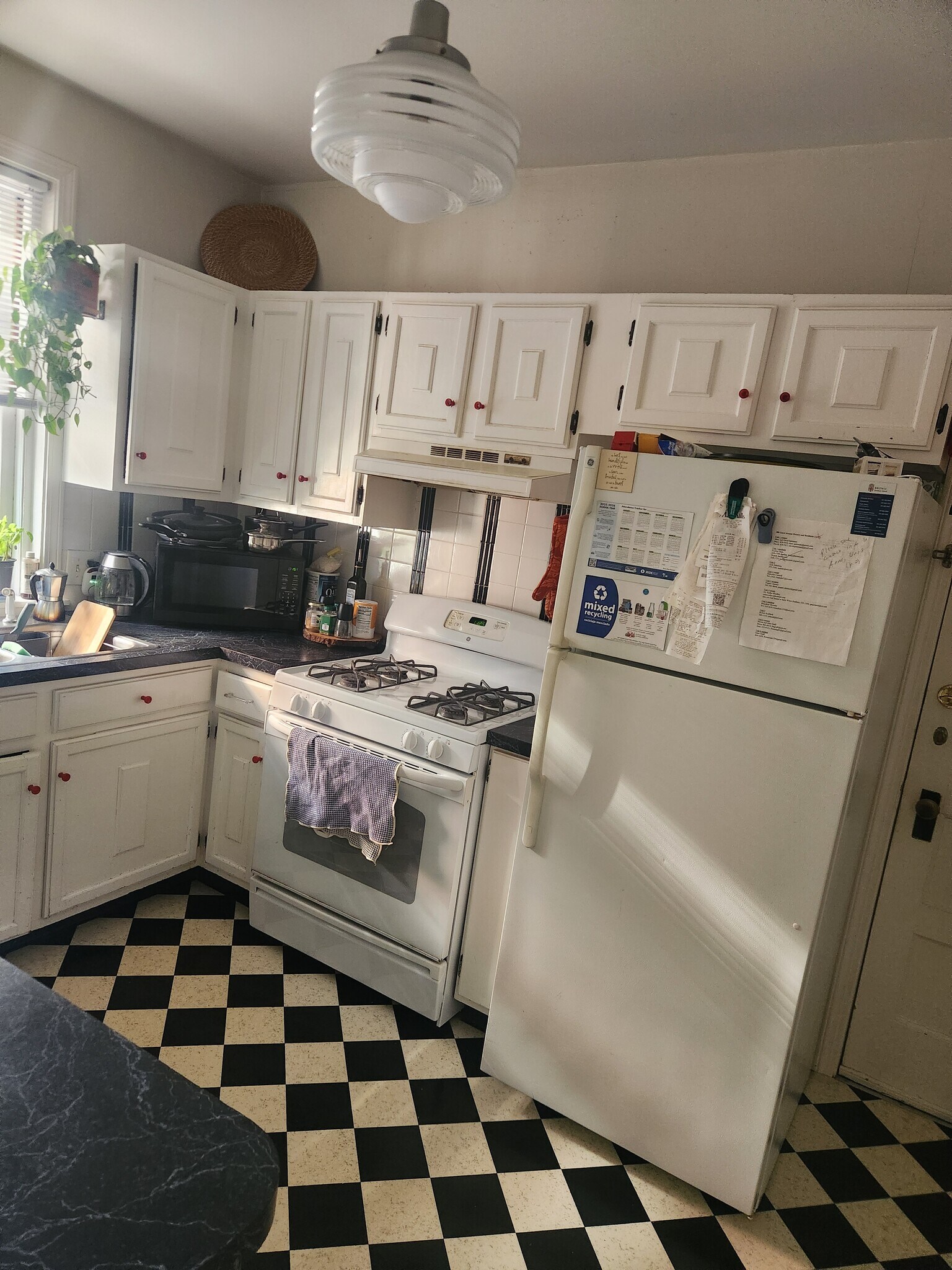 Kitchen - 380 Lloyd Ave