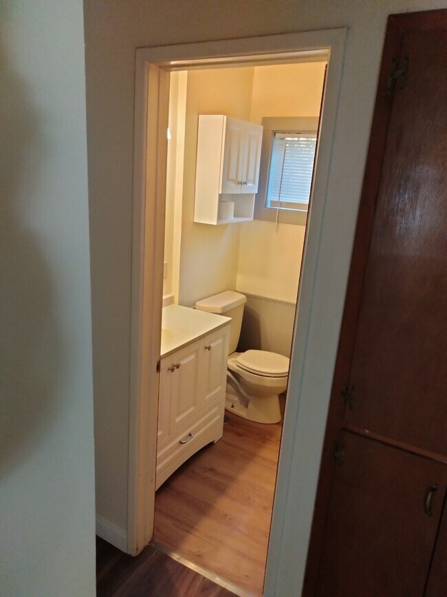 downstairs bathroom - 415 S 5th Ave