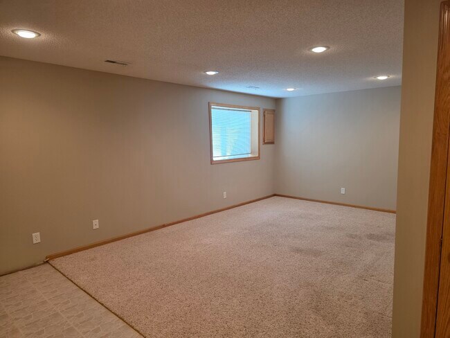 Lower level family room - 804 Ivy Ridge Ln