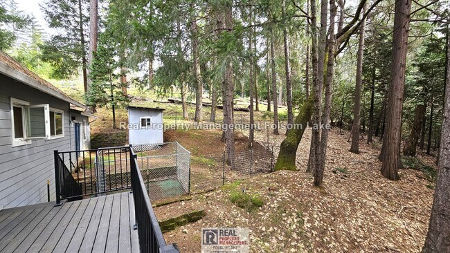Building Photo - Private Wooded Retreat on 2 Acres – 4BR 2Bath Home with Space for Animals, Fruit Trees & Seasonal...