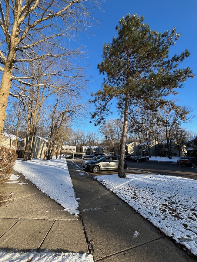 View from front Door - 1534 Streamwood Ct