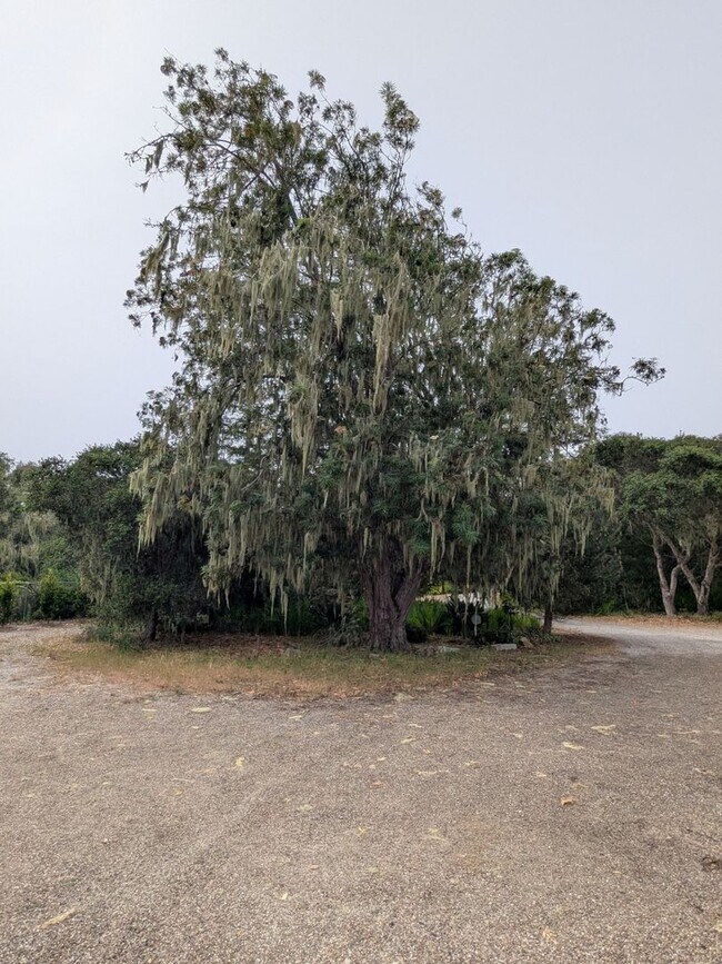 Building Photo - 3 Bedroom 3 Bath home in Los Osos