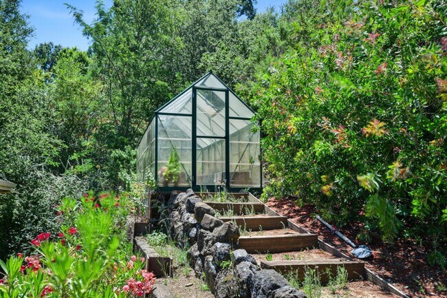 Building Photo - 169 Sausal Dr