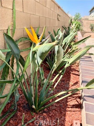 Building Photo - 2772 E Raspberry Ln