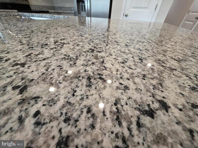 Building Photo - 1424 Sugarplum Ln