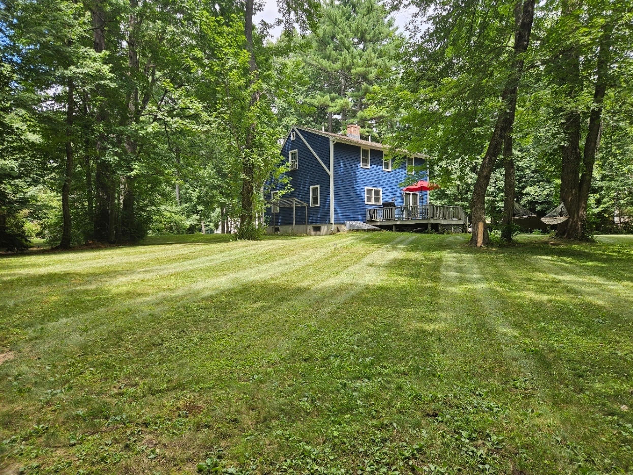 Yard - 11 Laurel Ln