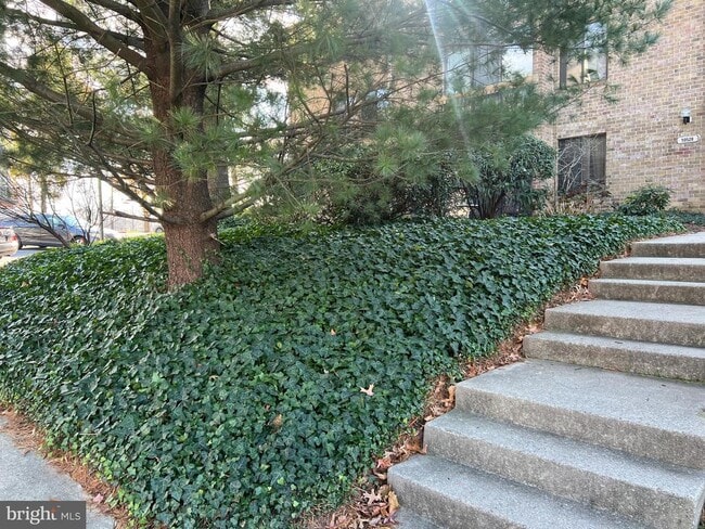 Building Photo - 10528 Cross Fox Ln