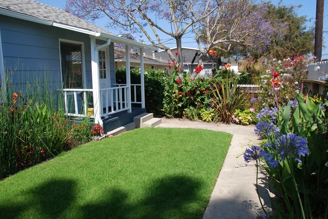 Private Front Yard - 6616 Sabado Tarde Rd