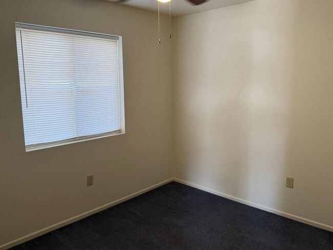 Building Photo - San Luis 3 Bedroom home with Fenced Lot