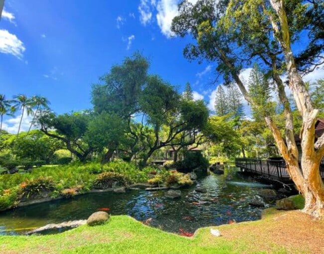 Building Photo - 1511 Nuuanu Ave