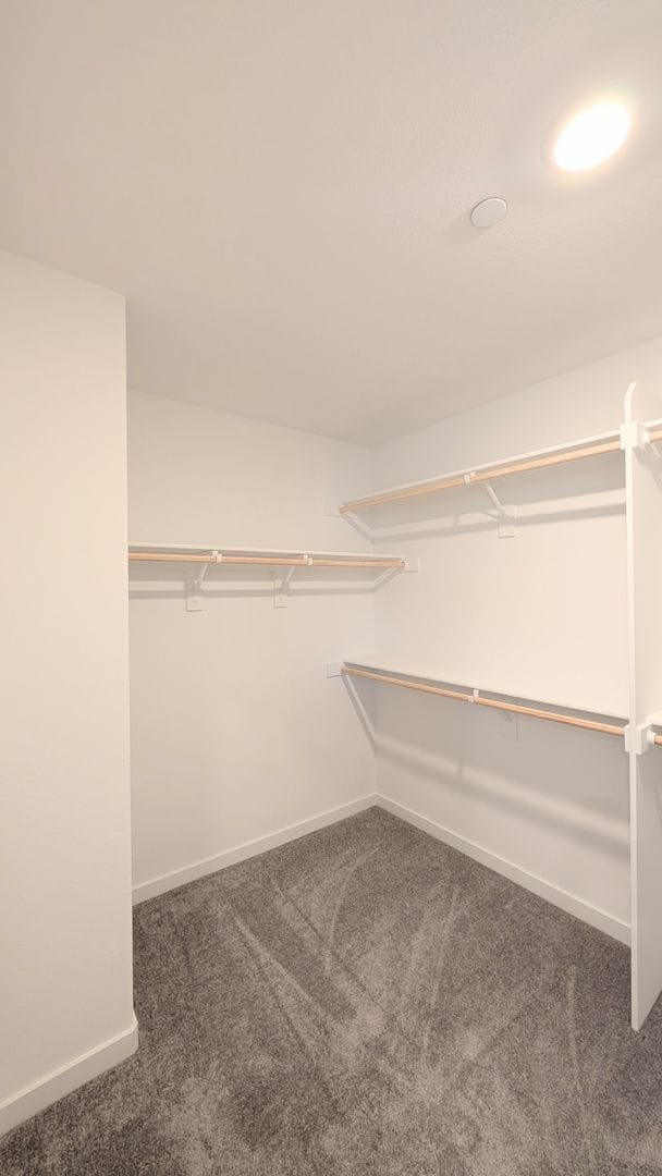 Building Photo - Beautiful Brand New Construction / Single ...