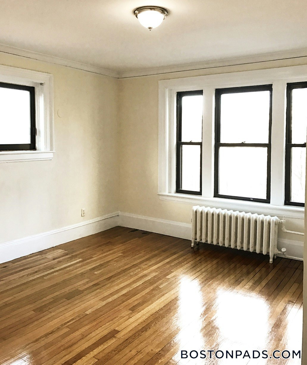 Building Photo - 448 Park Dr