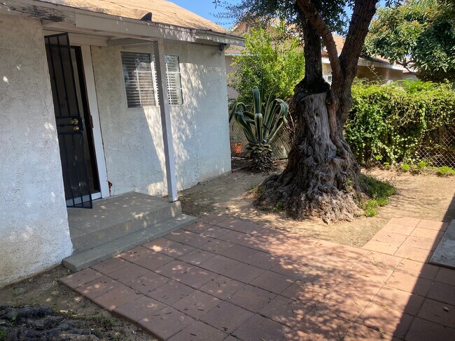 Back yard - 516 El Monte St