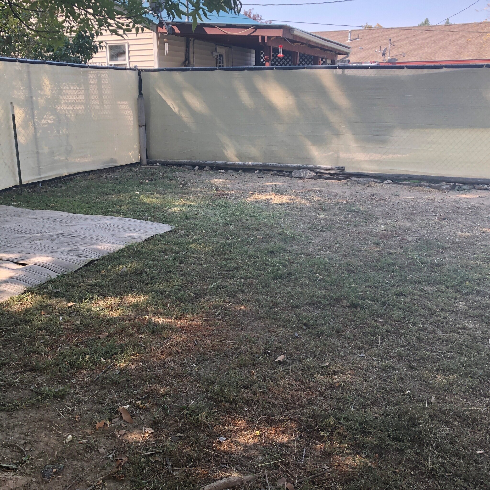 #2 Backyard - 450 Stevens Ave