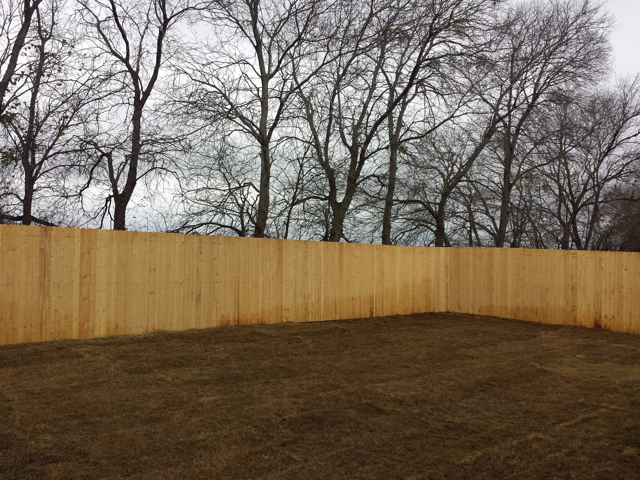 Building Photo - 3143 Marble Falls Dr