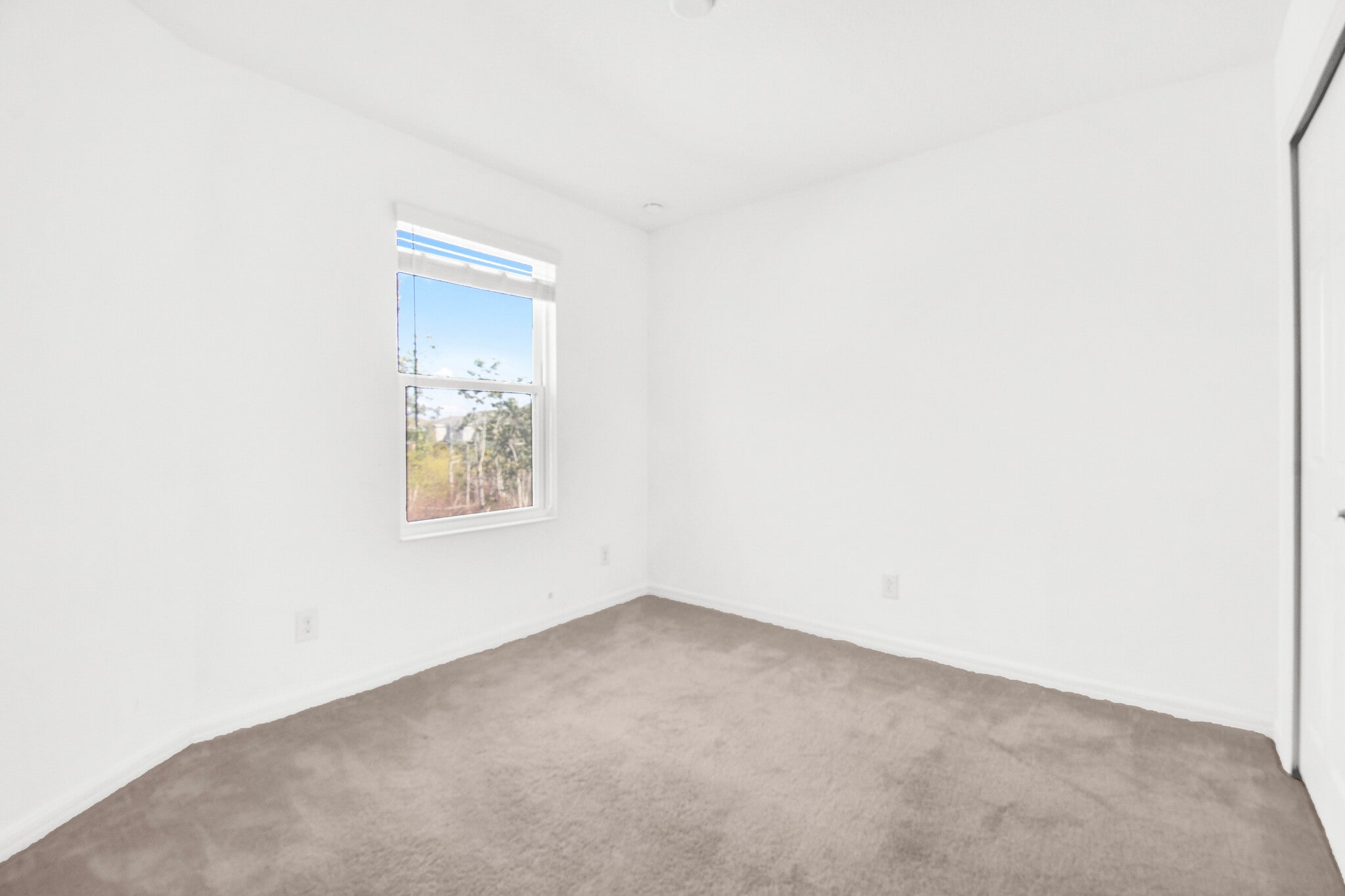 Building Photo - 271 Annabelle Way