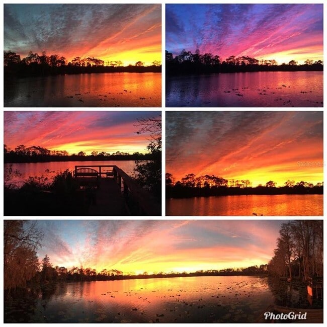 Building Photo - 10040 Crystalline Ct