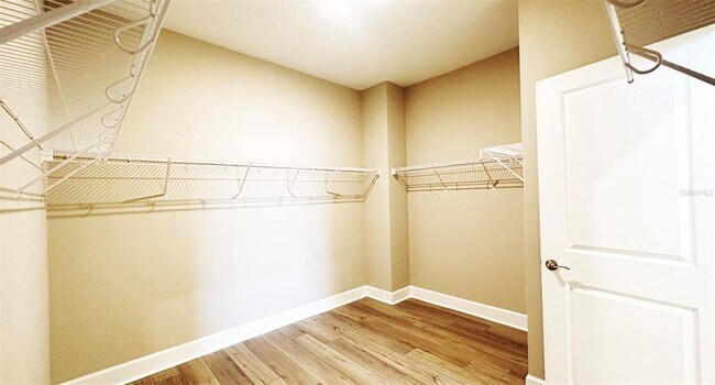 Building Photo - 3626 Savanna Palms Ct