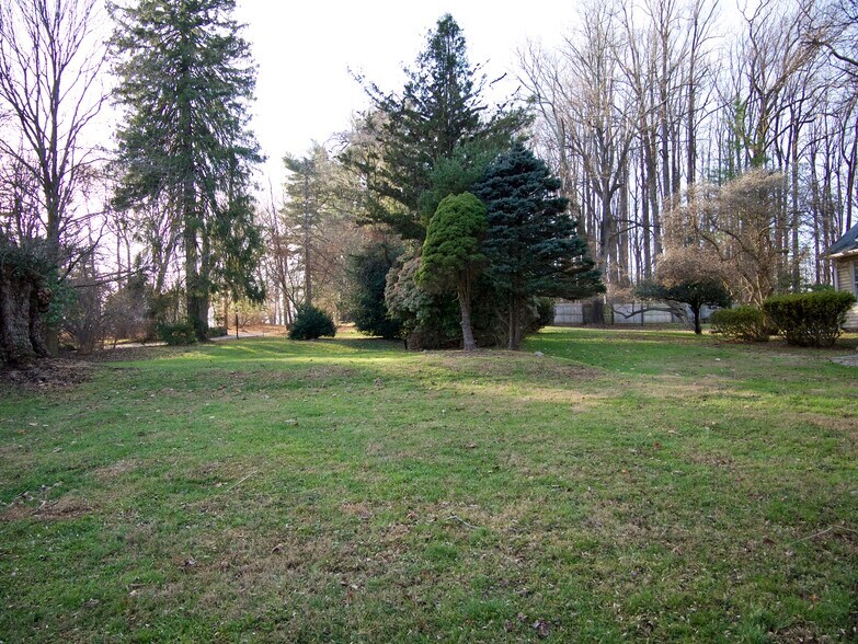 yard - 317 Waterloo Ave