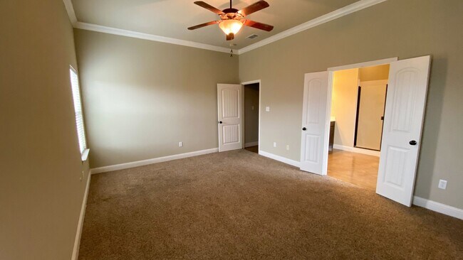 Building Photo - 3132 Stallion Dr