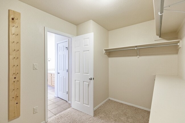 Building Photo - 4 Bedroom 2 Bath with Solar on a Large Corner Lot