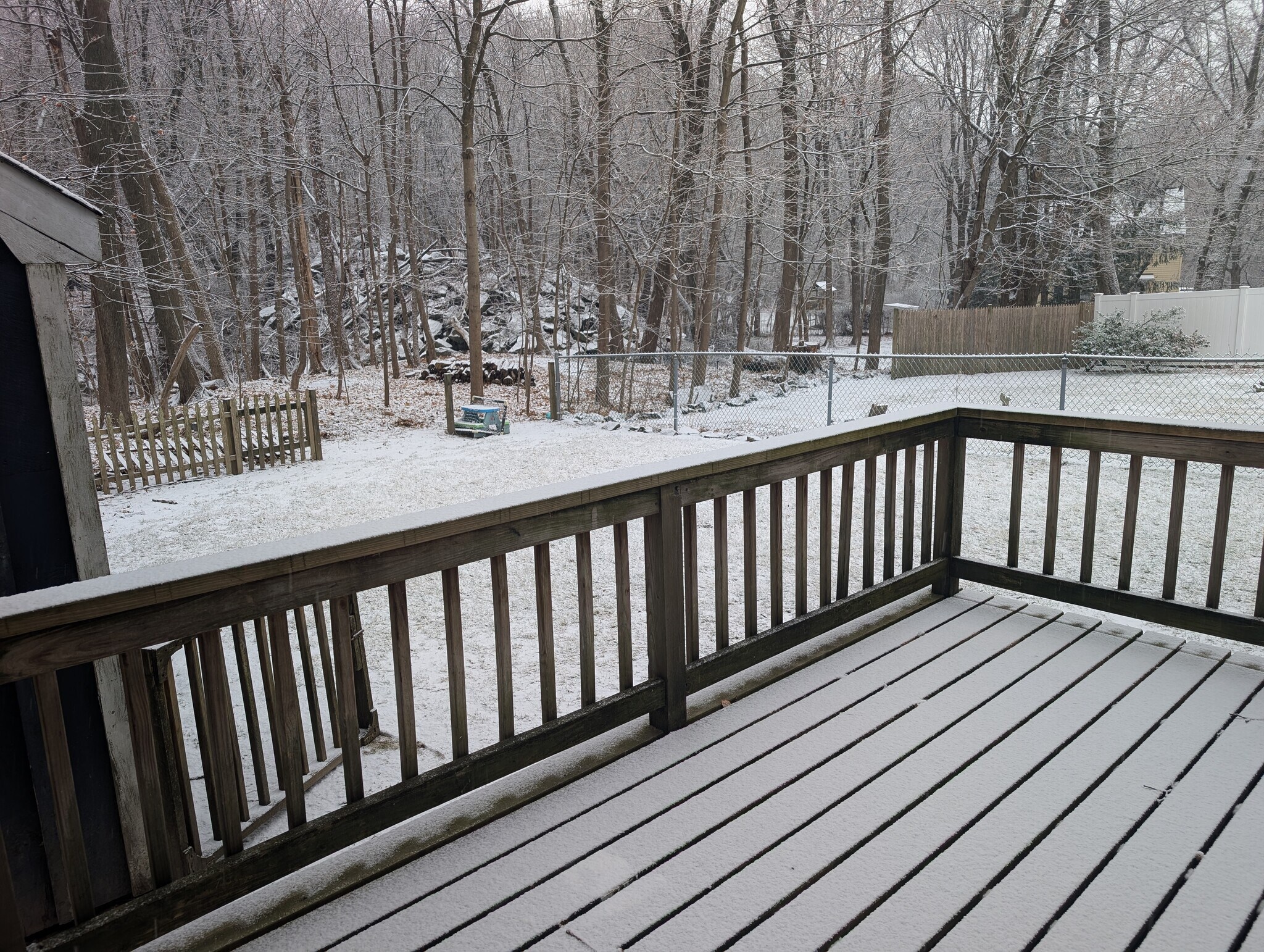 Deck and back yard. - 24 Curtis St