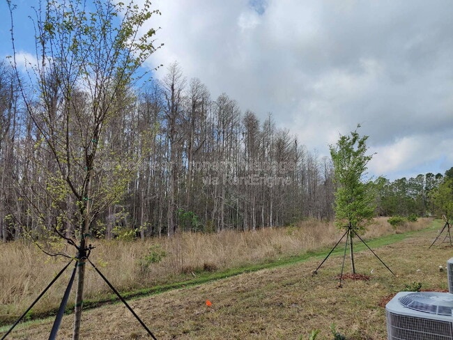 Building Photo - 17524 Radiant Shine Wy