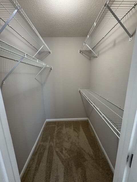 Building Photo - 1225 Cross Creek Cir