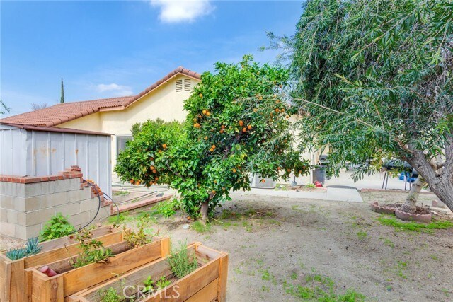 Building Photo - 972 Camphor Ct