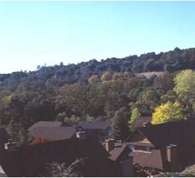 Building Photo - Quail Hollow Apartments