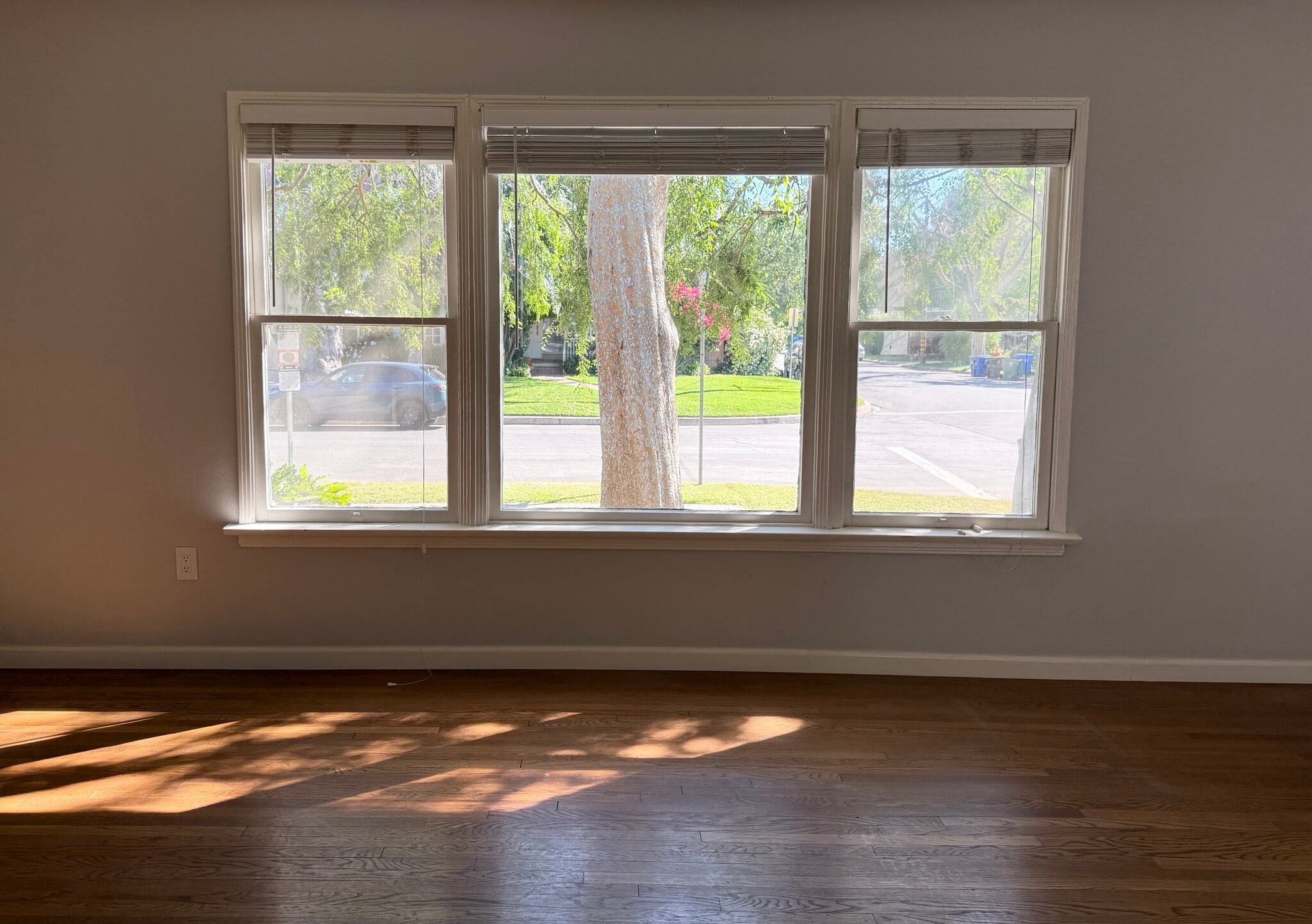 Building Photo - 11527 Albers St