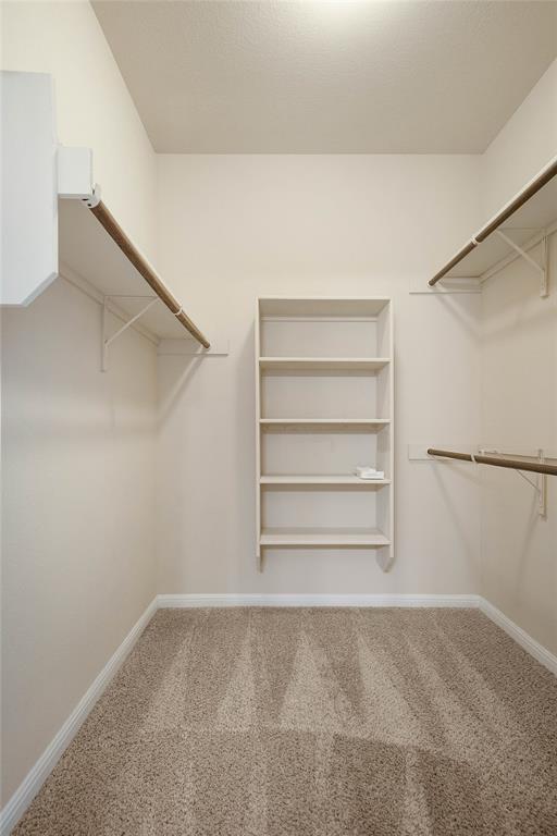 Building Photo - 13400 Briarwick Dr