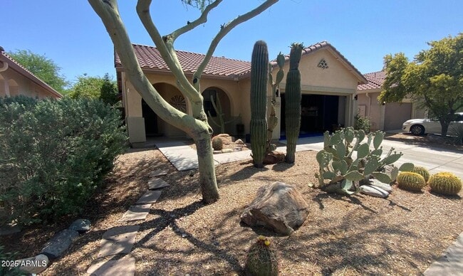 Primary Photo - 39519 N White Tail Ln