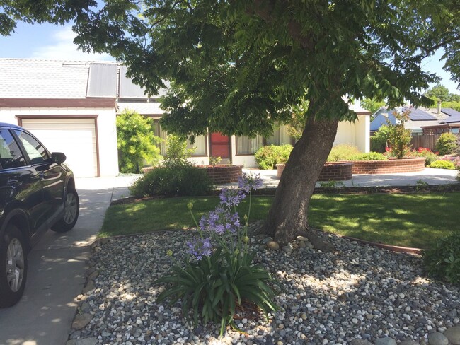 Building Photo - North Davis Home