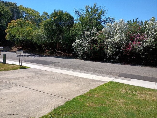 Building Photo - AVAILABLE NOW! excellent Fair Oaks Location 3 Bedroom Home!