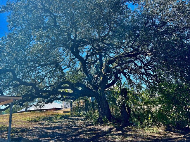 Building Photo - 305 Hall St