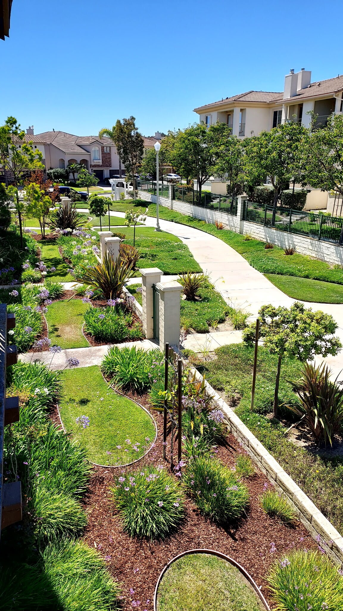 View of front yard from balcony - 4415 Ahoy Ln