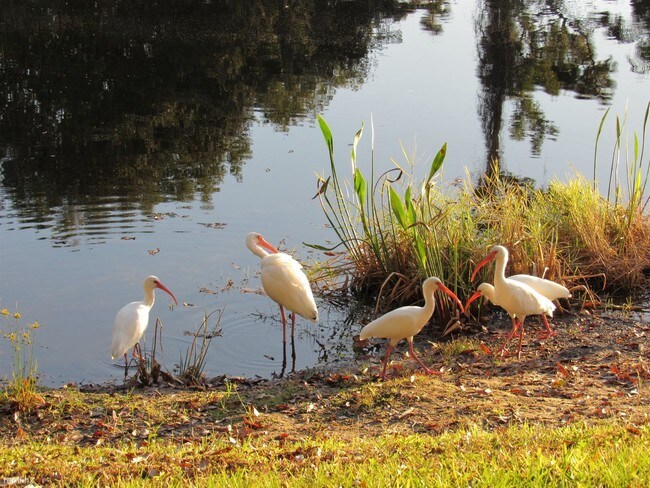 Building Photo - 8500 Belcher Rd N