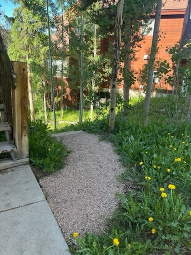 Building Photo - Gorgeous Lock-off on top of Mt Baldy, 2BD/2BA