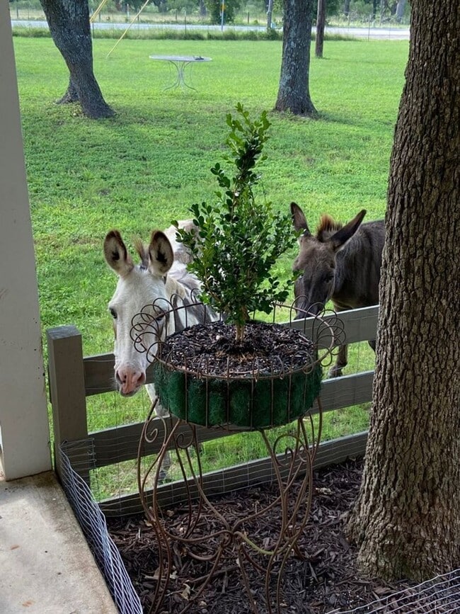 Building Photo - FOR LEASE!!