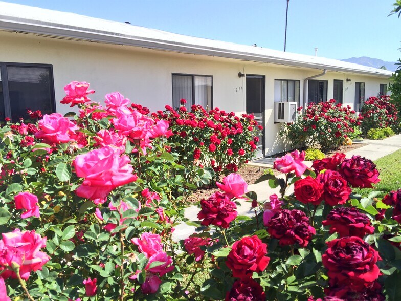 Building Photo - 263 N Florence St